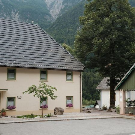 Gorska Roza Bed and Breakfast Log pod Mangartom Buitenkant foto