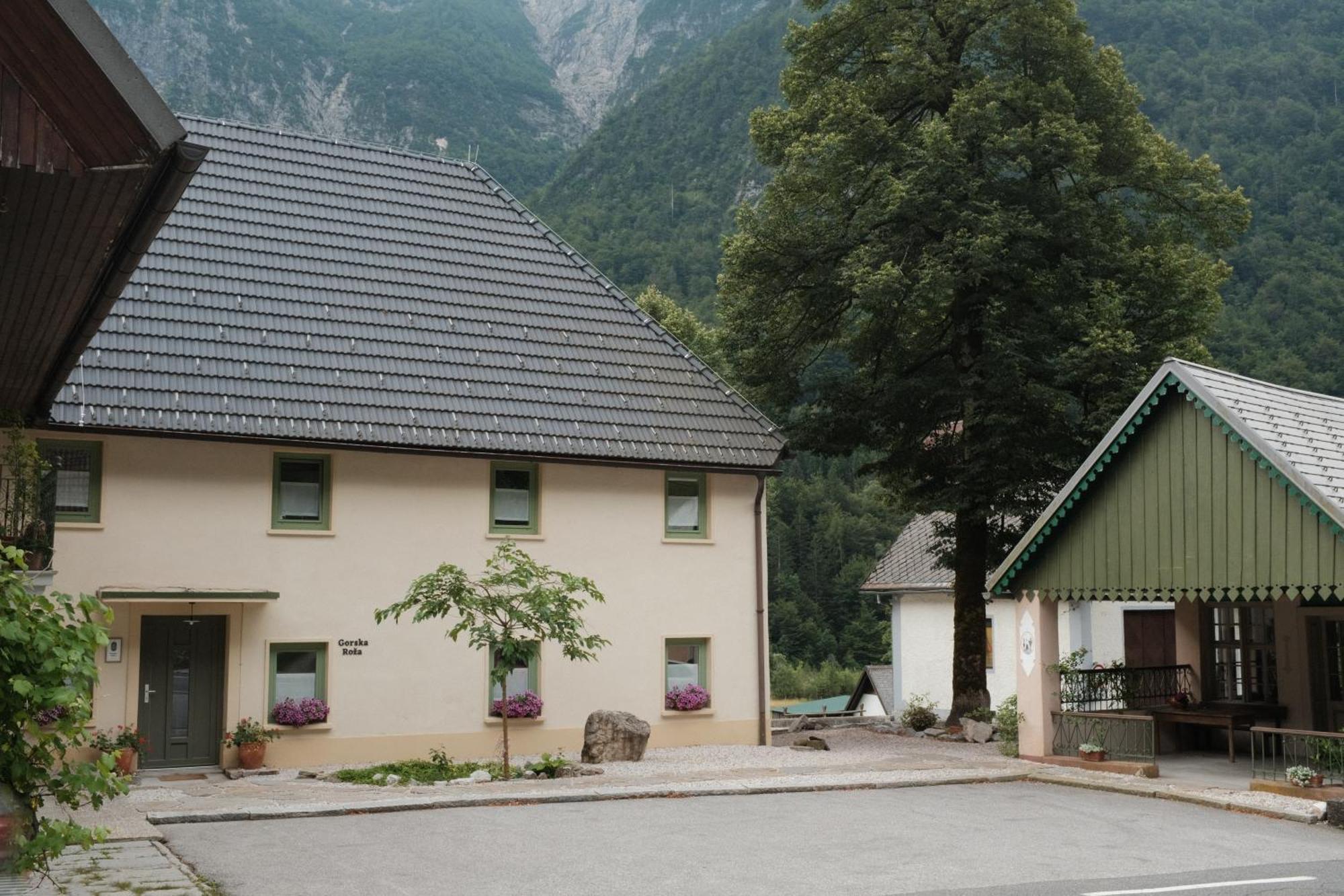 Gorska Roza Bed and Breakfast Log pod Mangartom Buitenkant foto